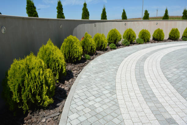 Reasons to Select Us for Your Driveway Paving Requirements in Sunnyside Tahoe City, CA